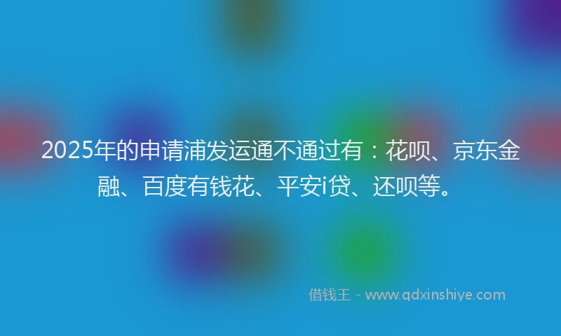 2025年的申请浦发运通不通过有：花呗、京东金融、百度有钱花、平安i贷、还呗等。