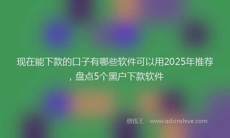 现在能下款的口子有哪些软件可以用2025年推荐，盘点5个黑户下款软件