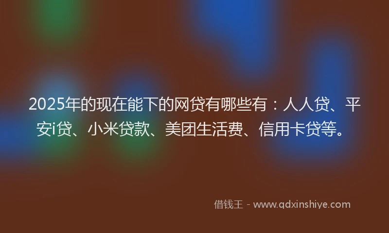 2025年的现在能下的网贷有哪些有：人人贷、平安i贷、小米贷款、美团生活费、信用卡贷等。
