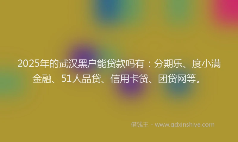 2025年的武汉黑户能贷款吗有：分期乐、度小满金融、51人品贷、信用卡贷、团贷网等。