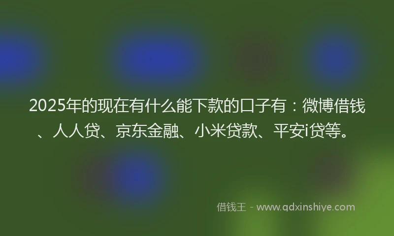 2025年的现在有什么能下款的口子有：微博借钱、人人贷、京东金融、小米贷款、平安i贷等。