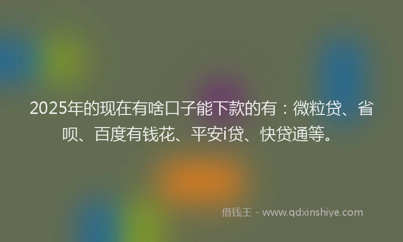 2025年的现在有啥口子能下款的有：微粒贷、省呗、百度有钱花、平安i贷、快贷通等。