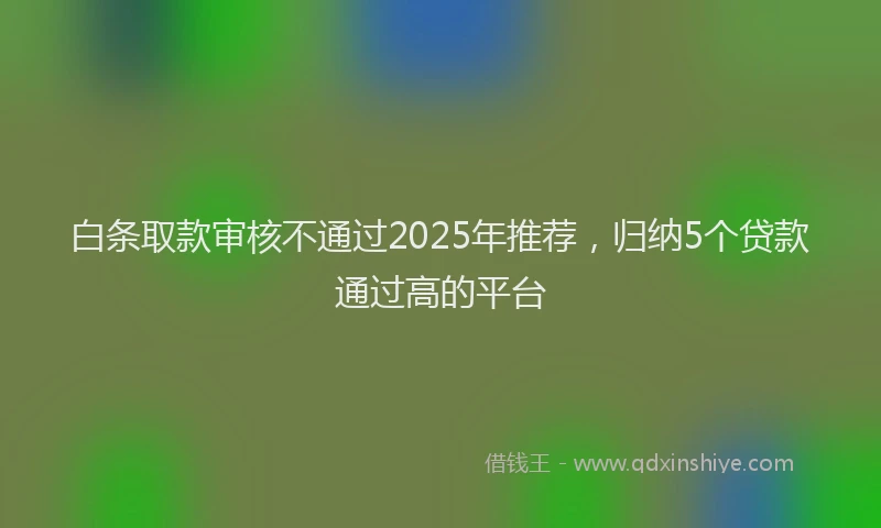 白条取款审核不通过2025年推荐，归纳5个贷款通过高的平台