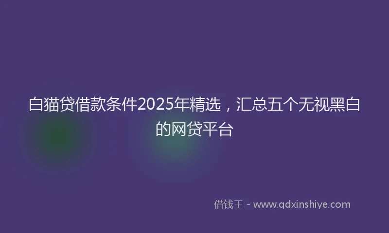 白猫贷借款条件2025年精选，汇总五个无视黑白的网贷平台