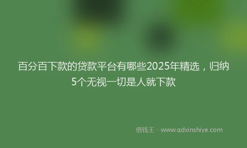 百分百下款的贷款平台有哪些2025年精选，归纳5个无视一切是人就下款