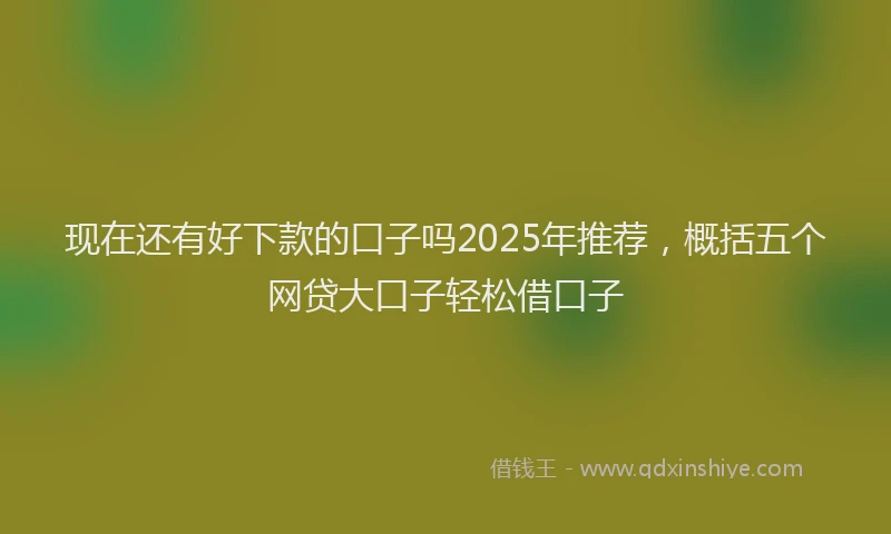 现在还有好下款的口子吗2025年推荐，概括五个网贷大口子轻松借口子