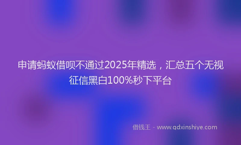 申请蚂蚁借呗不通过2025年精选，汇总五个无视征信黑白100%秒下平台
