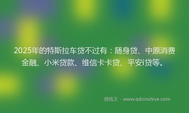 2025年的特斯拉车贷不过有：随身贷、中原消费金融、小米贷款、维信卡卡贷、平安i贷等。