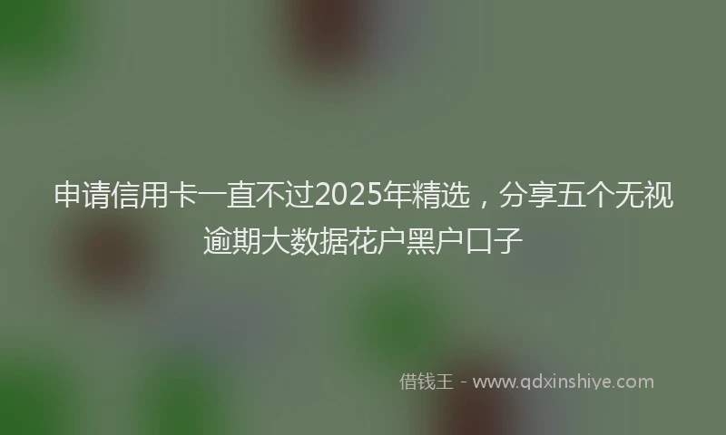申请信用卡一直不过2025年精选，分享五个无视逾期大数据花户黑户口子