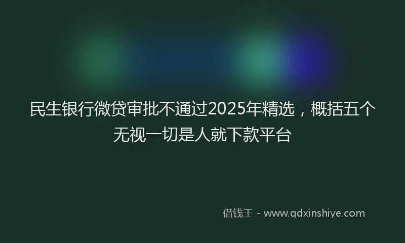 民生银行微贷审批不通过2025年精选，概括五个无视一切是人就下款平台
