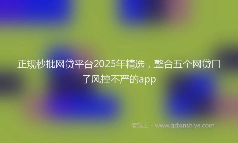 正规秒批网贷平台2025年精选，整合五个网贷口子风控不严的app