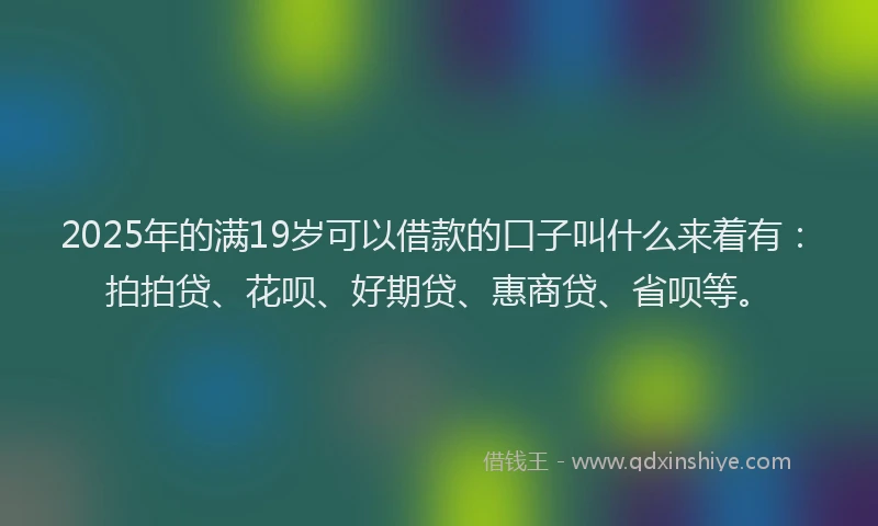 2025年的满19岁可以借款的口子叫什么来着有：拍拍贷、花呗、好期贷、惠商贷、省呗等。
