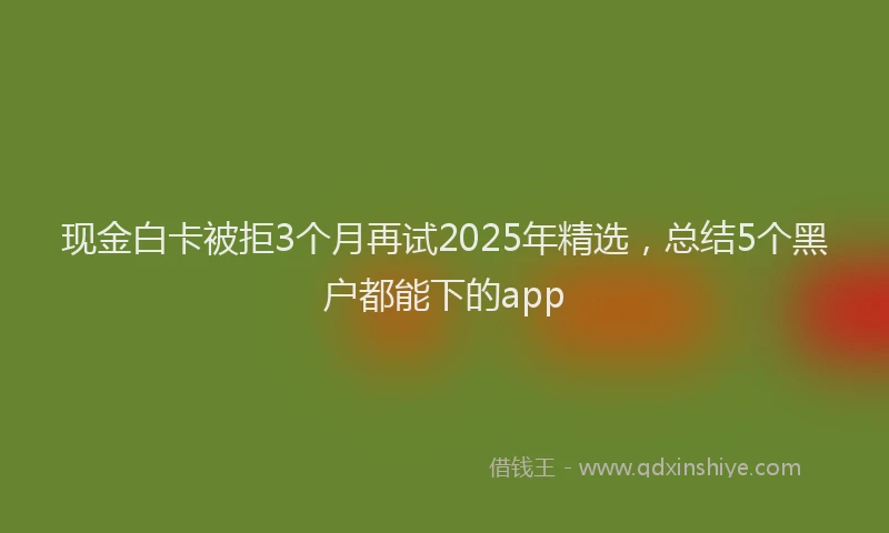 现金白卡被拒3个月再试2025年精选，总结5个黑户都能下的app