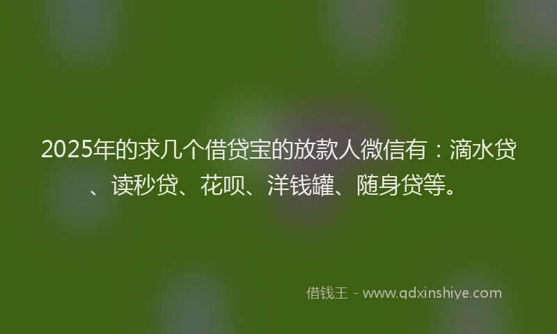 2025年的求几个借贷宝的放款人微信有：滴水贷、读秒贷、花呗、洋钱罐、随身贷等。