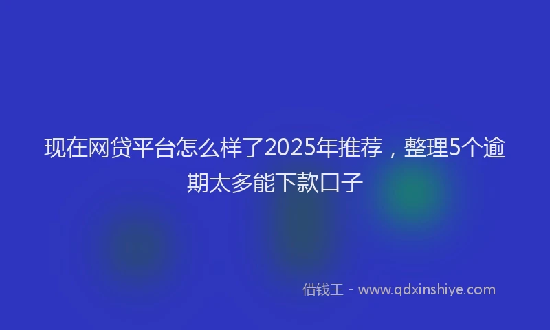 现在网贷平台怎么样了2025年推荐，整理5个逾期太多能下款口子