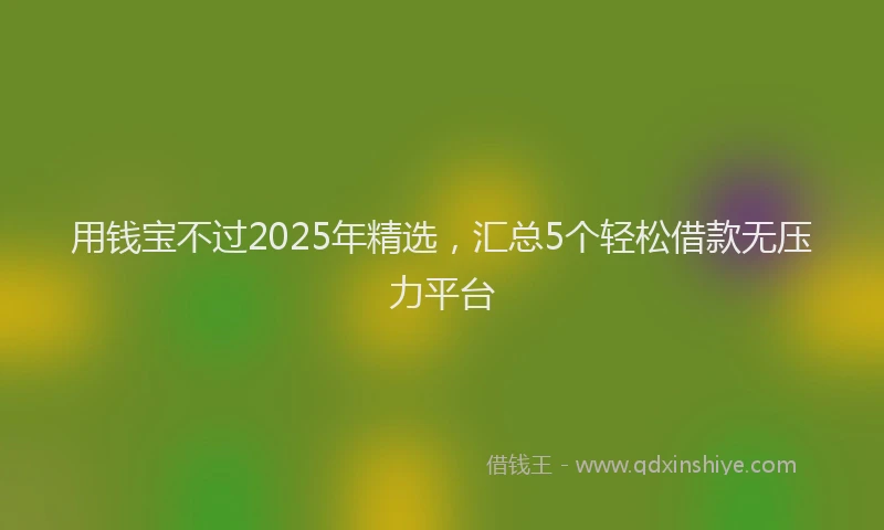 用钱宝不过2025年精选，汇总5个轻松借款无压力平台