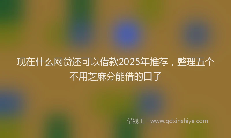 现在什么网贷还可以借款2025年推荐，整理五个不用芝麻分能借的口子