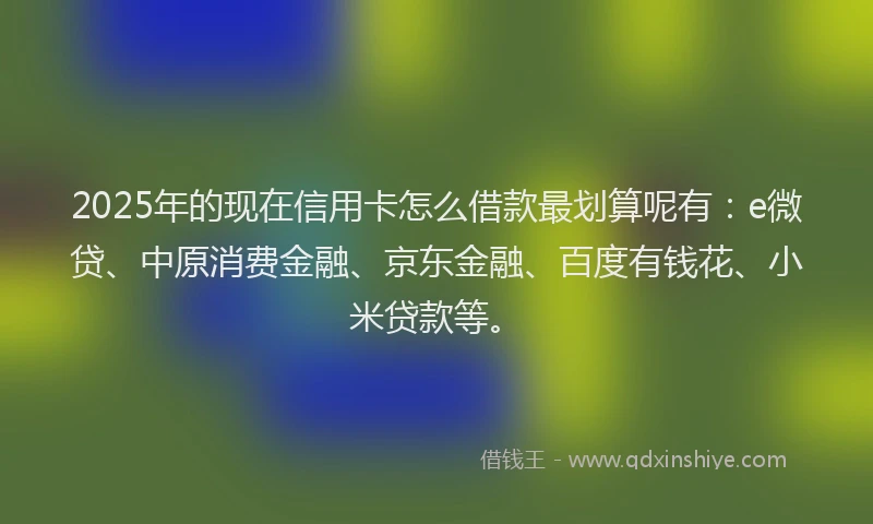 2025年的现在信用卡怎么借款最划算呢有：e微贷、中原消费金融、京东金融、百度有钱花、小米贷款等。