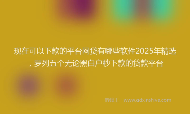 现在可以下款的平台网贷有哪些软件2025年精选，罗列五个无论黑白户秒下款的贷款平台