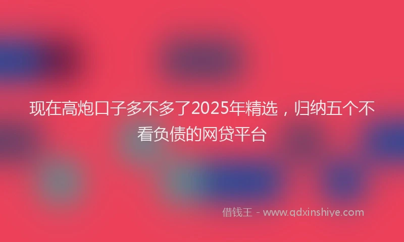 现在高炮口子多不多了2025年精选，归纳五个不看负债的网贷平台