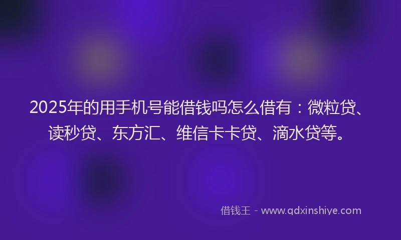 2025年的用手机号能借钱吗怎么借有：微粒贷、读秒贷、东方汇、维信卡卡贷、滴水贷等。