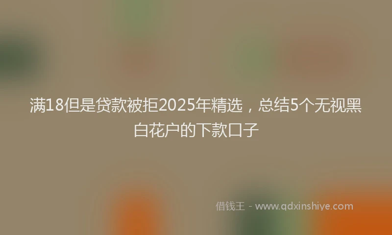 满18但是贷款被拒2025年精选，总结5个无视黑白花户的下款口子