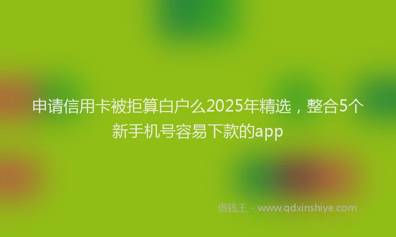 申请信用卡被拒算白户么2025年精选，整合5个新手机号容易下款的app