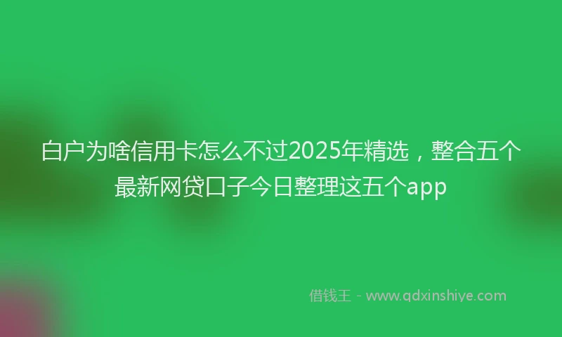白户为啥信用卡怎么不过2025年精选，整合五个最新网贷口子今日整理这五个app