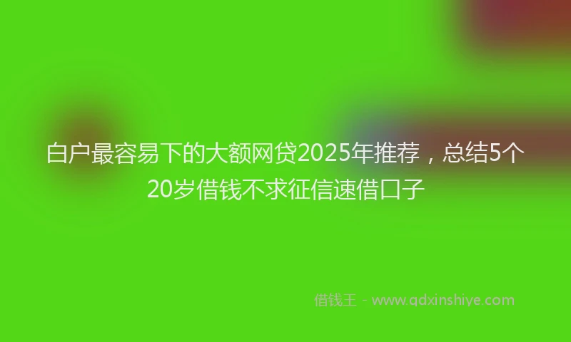 白户最容易下的大额网贷2025年推荐，总结5个20岁借钱不求征信速借口子