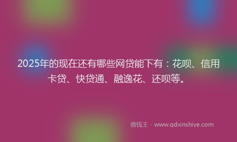 2025年的现在还有哪些网贷能下有：花呗、信用卡贷、快贷通、融逸花、还呗等。