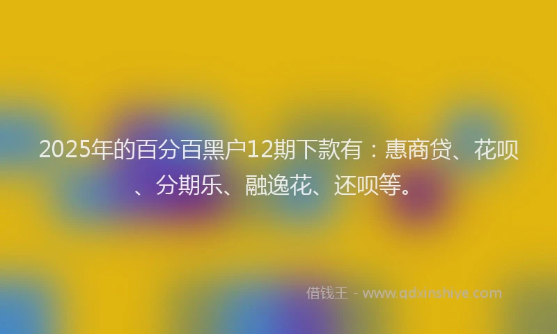 2025年的百分百黑户12期下款有：惠商贷、花呗、分期乐、融逸花、还呗等。