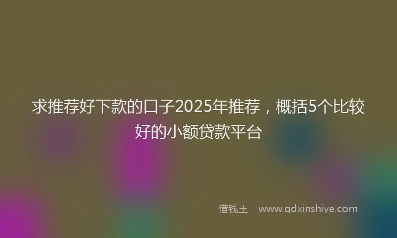 求推荐好下款的口子2025年推荐，概括5个比较好的小额贷款平台
