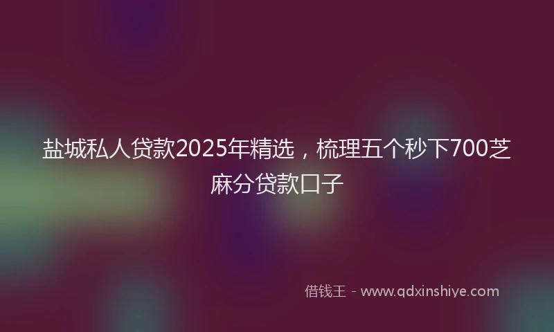 盐城私人贷款2025年精选，梳理五个秒下700芝麻分贷款口子