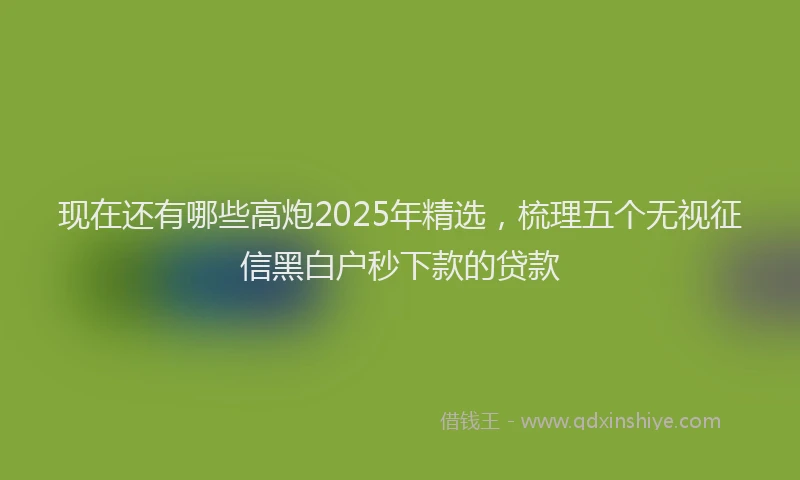 现在还有哪些高炮2025年精选，梳理五个无视征信黑白户秒下款的贷款