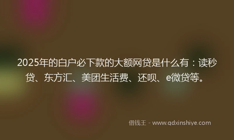 2025年的白户必下款的大额网贷是什么有：读秒贷、东方汇、美团生活费、还呗、e微贷等。