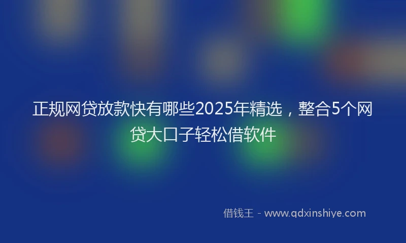 正规网贷放款快有哪些2025年精选，整合5个网贷大口子轻松借软件