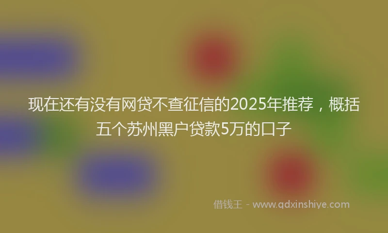 现在还有没有网贷不查征信的2025年推荐，概括五个苏州黑户贷款5万的口子