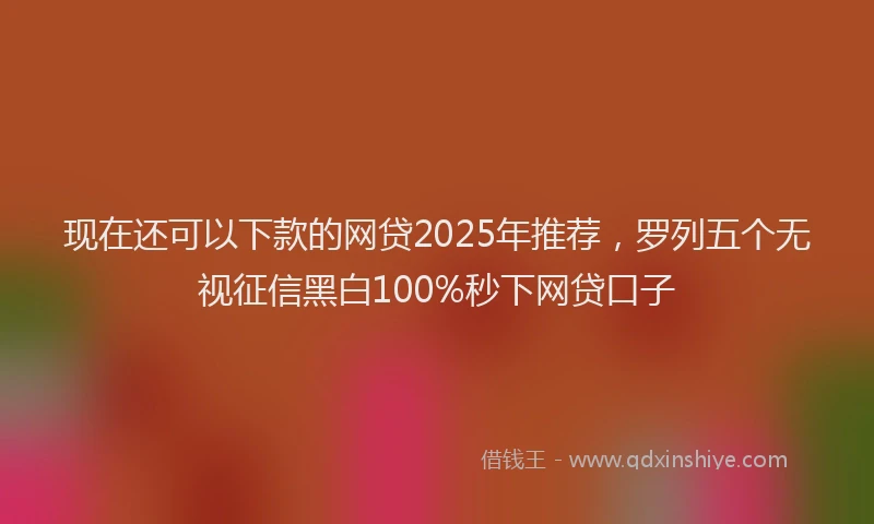 现在还可以下款的网贷2025年推荐，罗列五个无视征信黑白100%秒下网贷口子