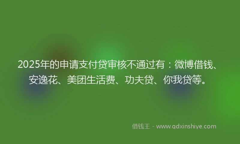 2025年的申请支付贷审核不通过有：微博借钱、安逸花、美团生活费、功夫贷、你我贷等。