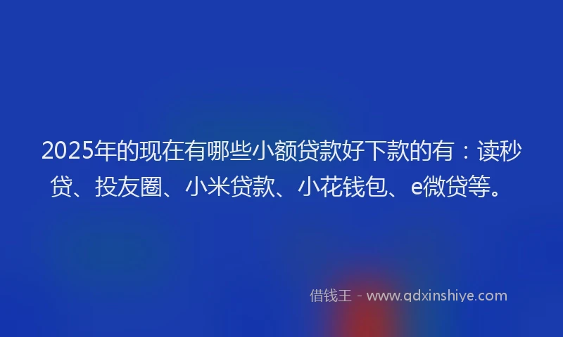 2025年的现在有哪些小额贷款好下款的有：读秒贷、投友圈、小米贷款、小花钱包、e微贷等。
