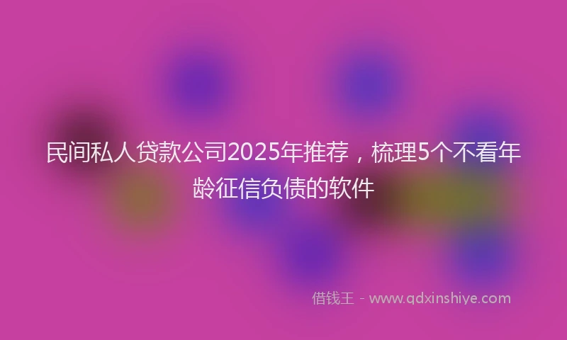 民间私人贷款公司2025年推荐，梳理5个不看年龄征信负债的软件