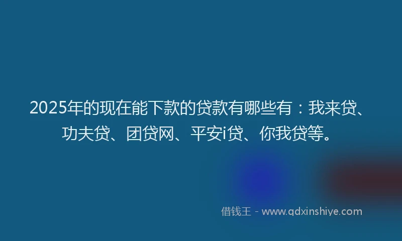 2025年的现在能下款的贷款有哪些有：我来贷、功夫贷、团贷网、平安i贷、你我贷等。