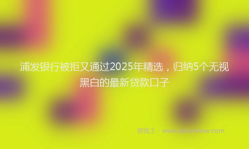 浦发银行被拒又通过2025年精选，归纳5个无视黑白的最新贷款口子
