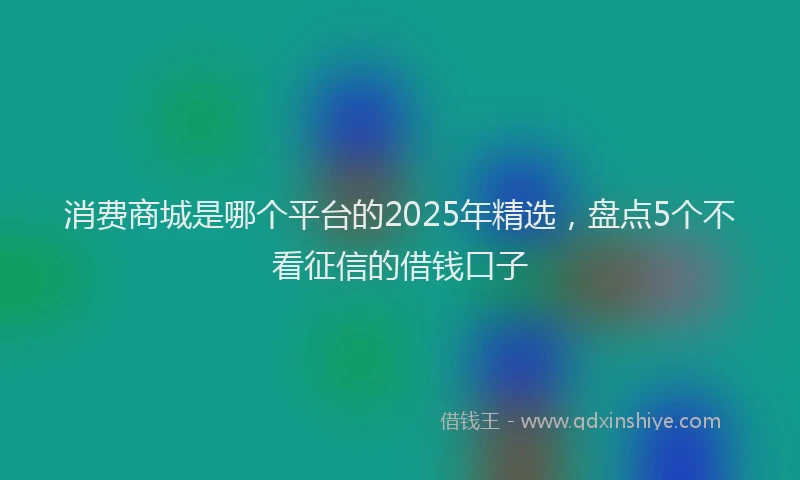 消费商城是哪个平台的2025年精选，盘点5个不看征信的借钱口子