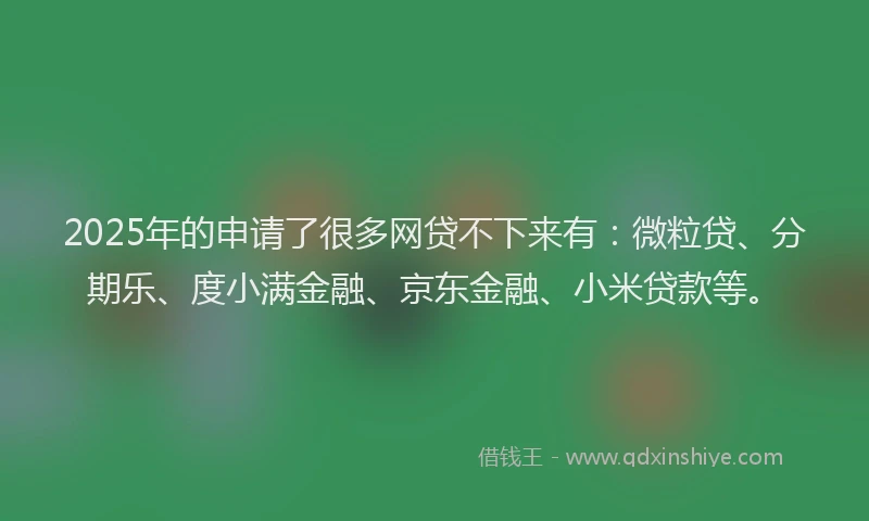 2025年的申请了很多网贷不下来有：微粒贷、分期乐、度小满金融、京东金融、小米贷款等。