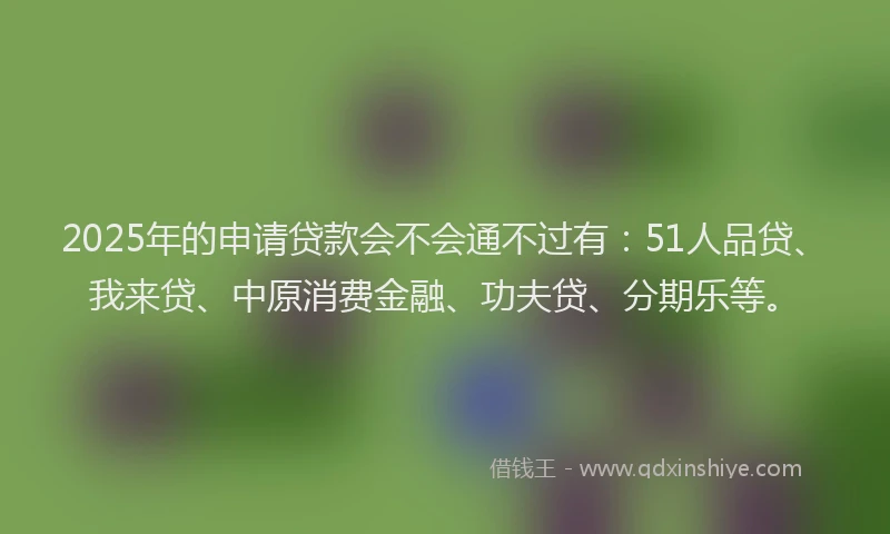 2025年的申请贷款会不会通不过有：51人品贷、我来贷、中原消费金融、功夫贷、分期乐等。