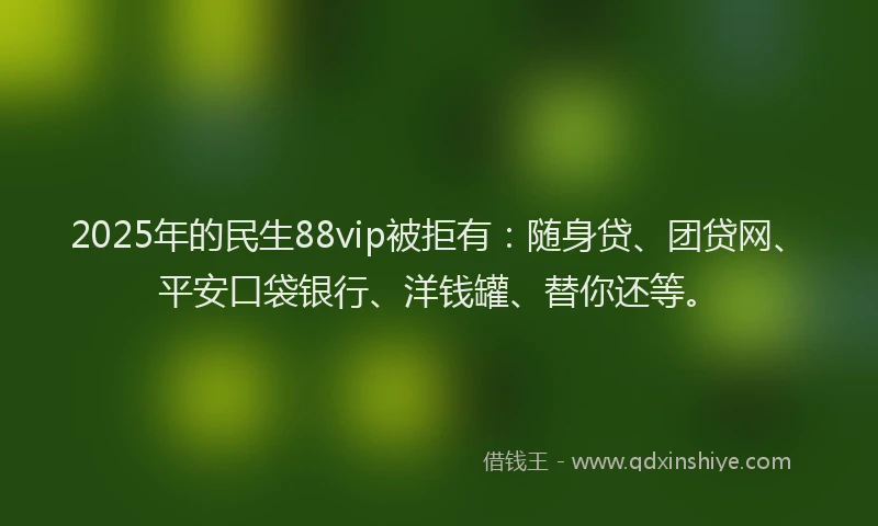 2025年的民生88vip被拒有：随身贷、团贷网、平安口袋银行、洋钱罐、替你还等。