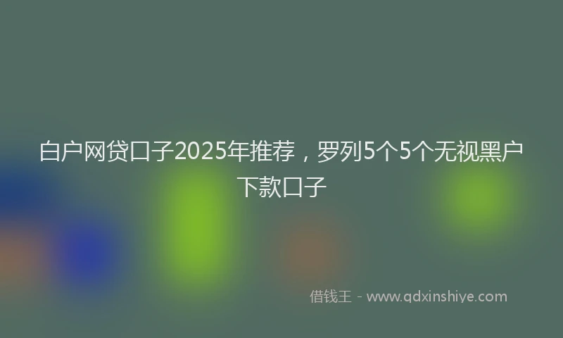 白户网贷口子2025年推荐，罗列5个5个无视黑户下款口子