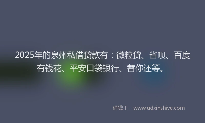 2025年的泉州私借贷款有：微粒贷、省呗、百度有钱花、平安口袋银行、替你还等。