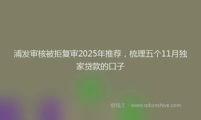 浦发审核被拒复审2025年推荐，梳理五个11月独家贷款的口子